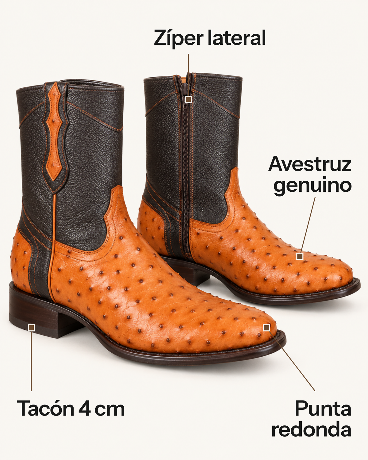 El Meridiano en Piel de Avestruz Coñac