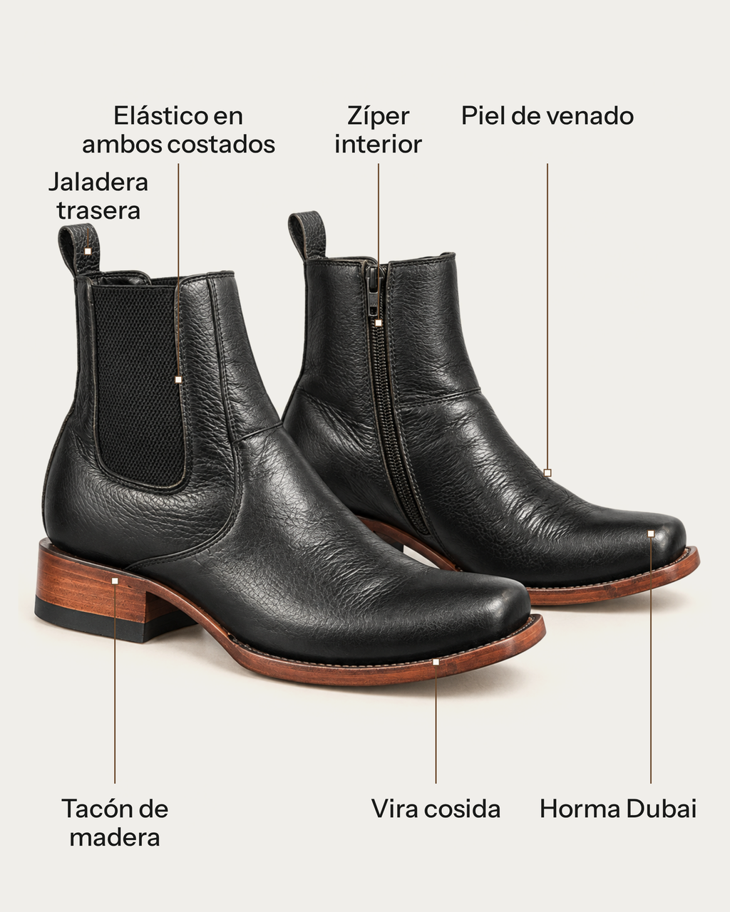 El Elegante en Venado Negro