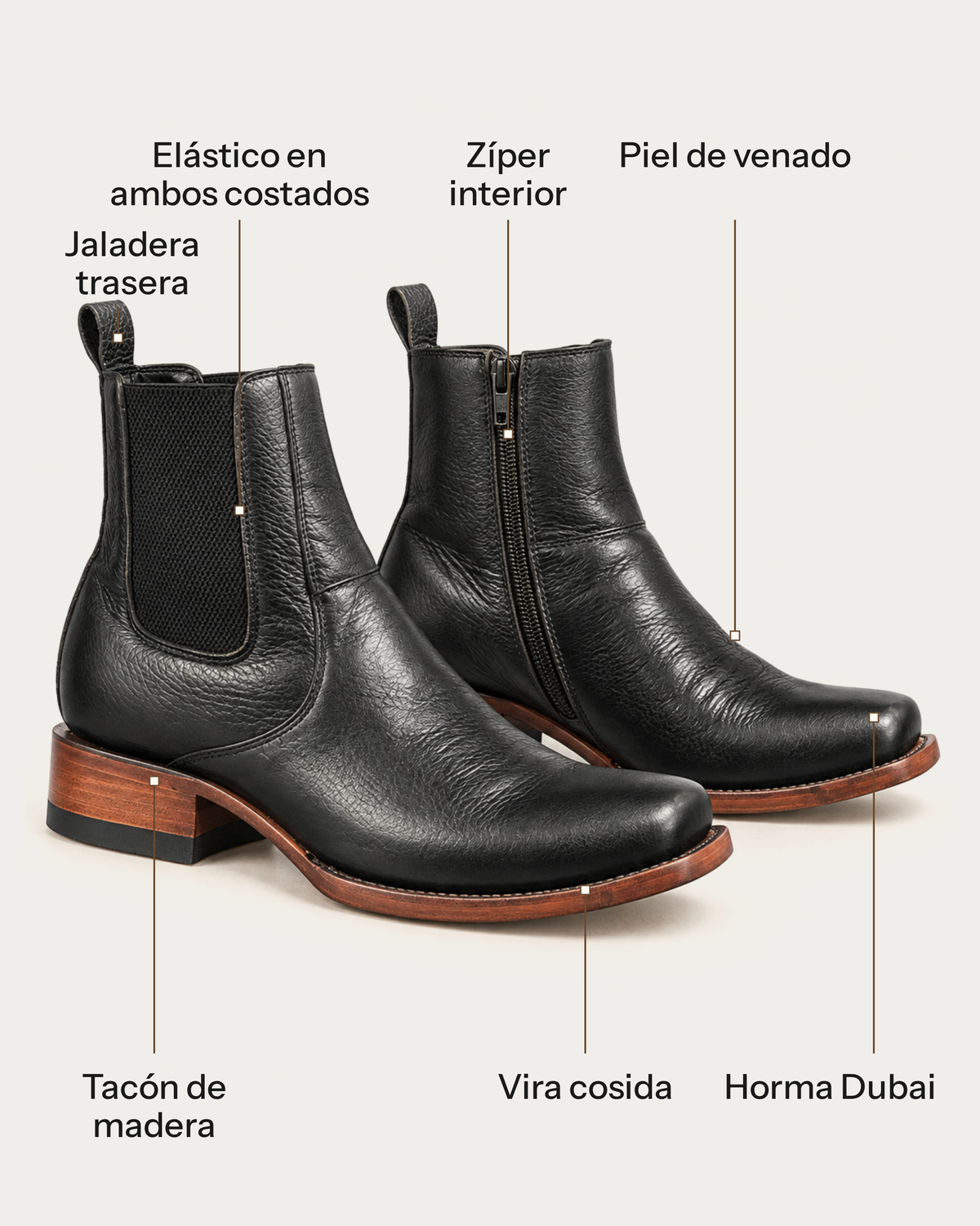 El Elegante en Venado Negro