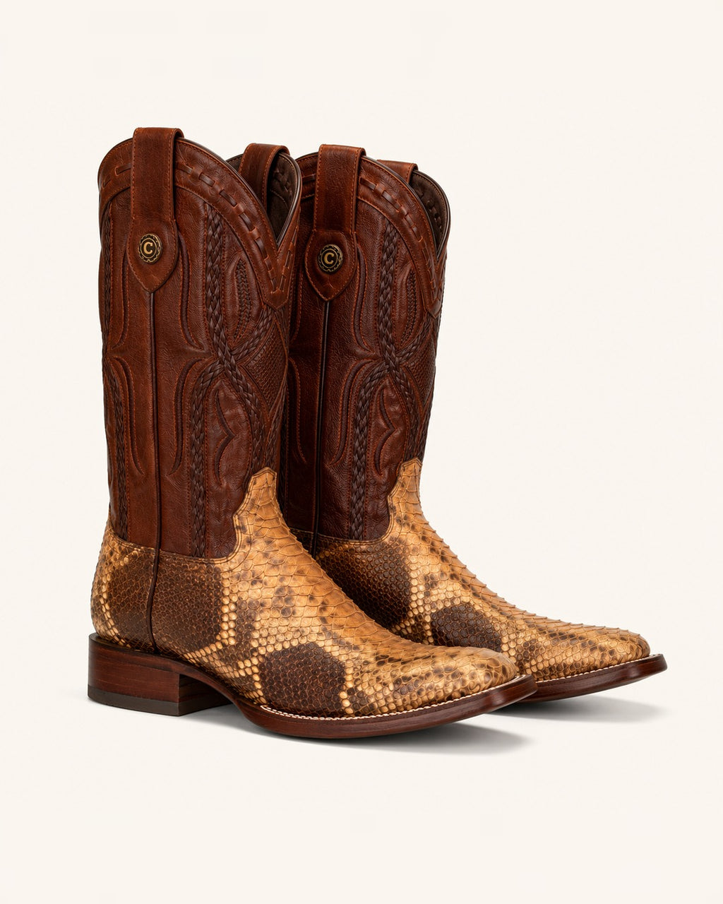 La Tigre in Spotted Honey Python